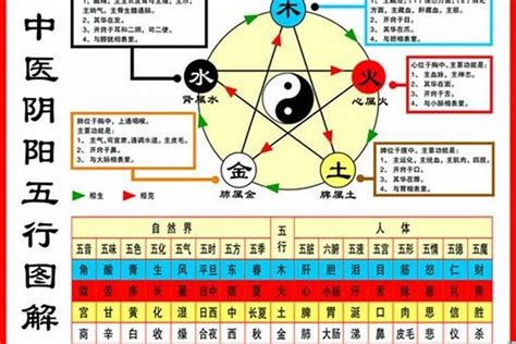 1984年五行属什么|1984年出生的属什么,1984年是什么生肖